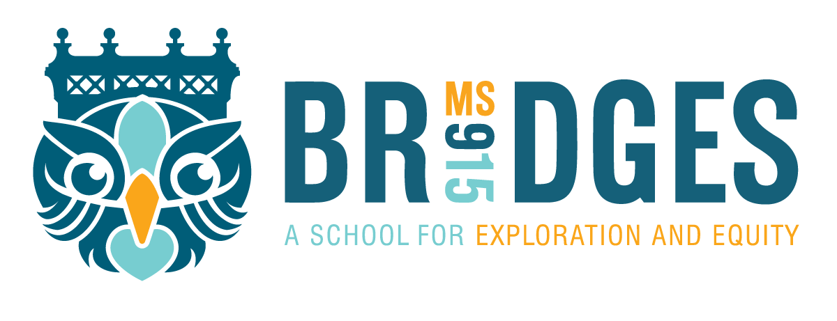 MS 915 logo