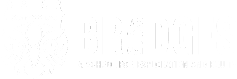 MS 915 bridges logo in white